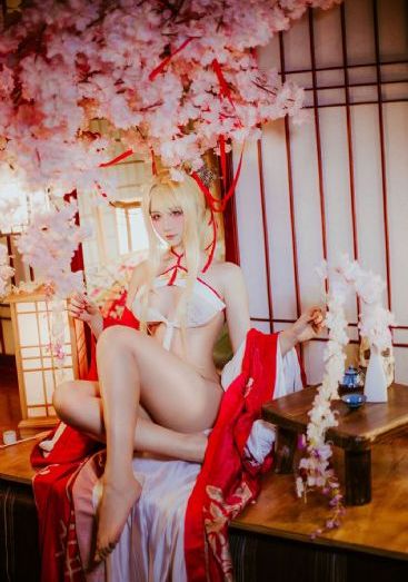 假面骑士极狐免费播放樱花