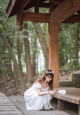 电影一树梨花压海棠