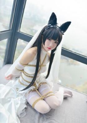 欧美一级在线免费观看